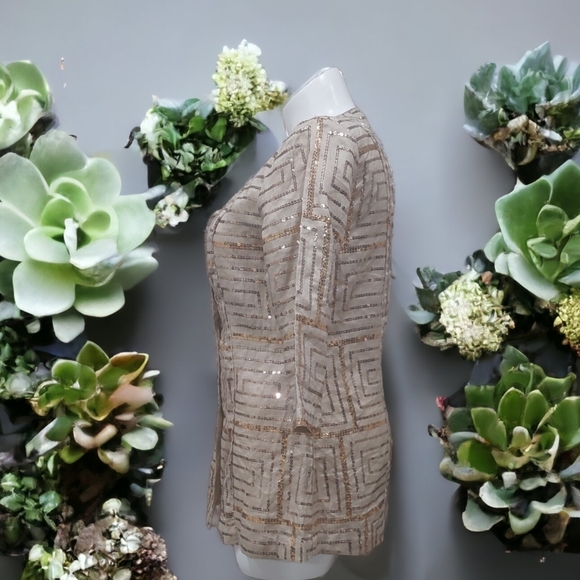 Night Studio Linen Sequin Gold Blazer Fit Flare Lightweight Women's Size 10 - Picture 2 of 9